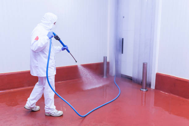 Best Graffiti Removal  in Fort Pierce South, FL